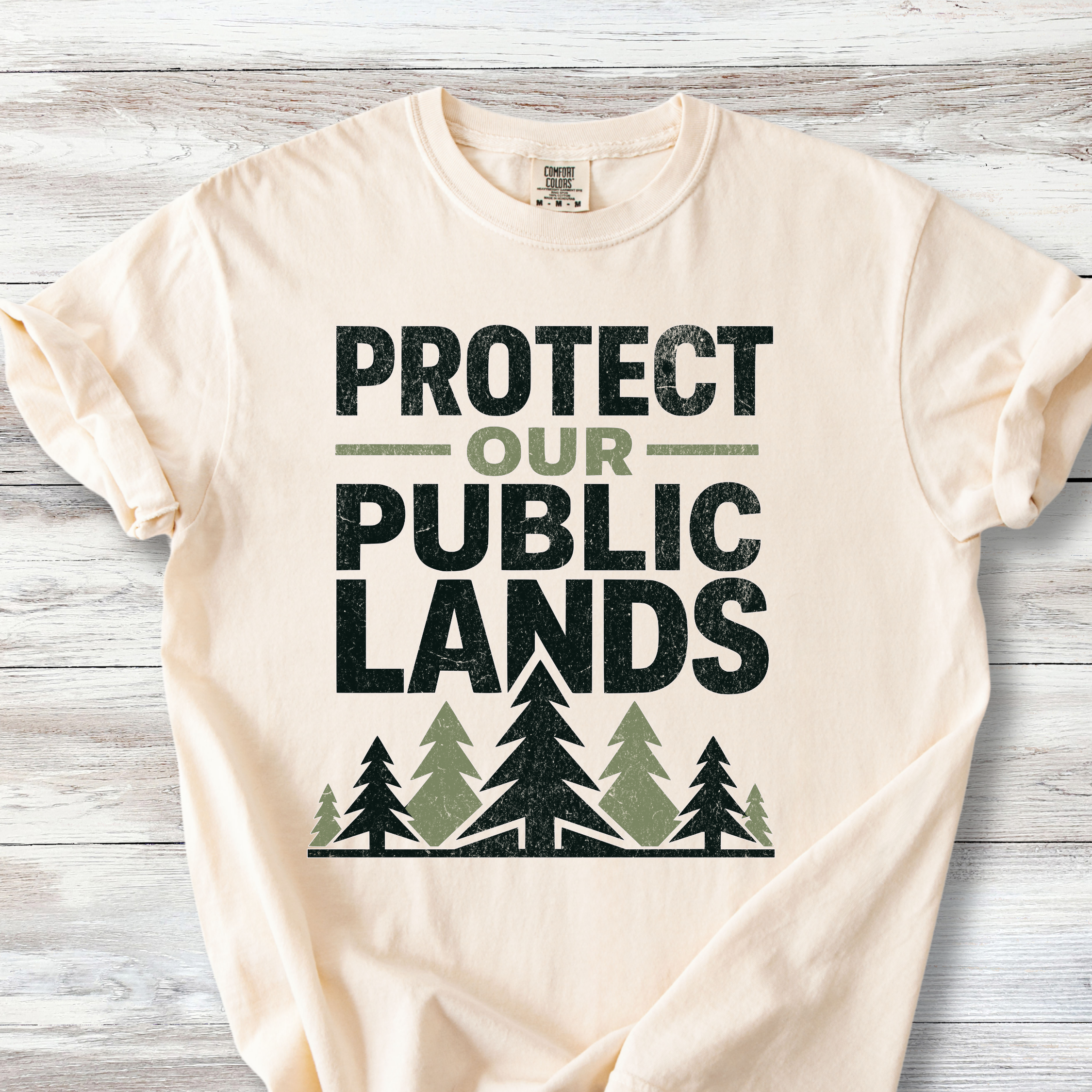 Protect Our Public Lands Tee , Vintage Conservation Shirt for Hikers &amp; Park Defenders