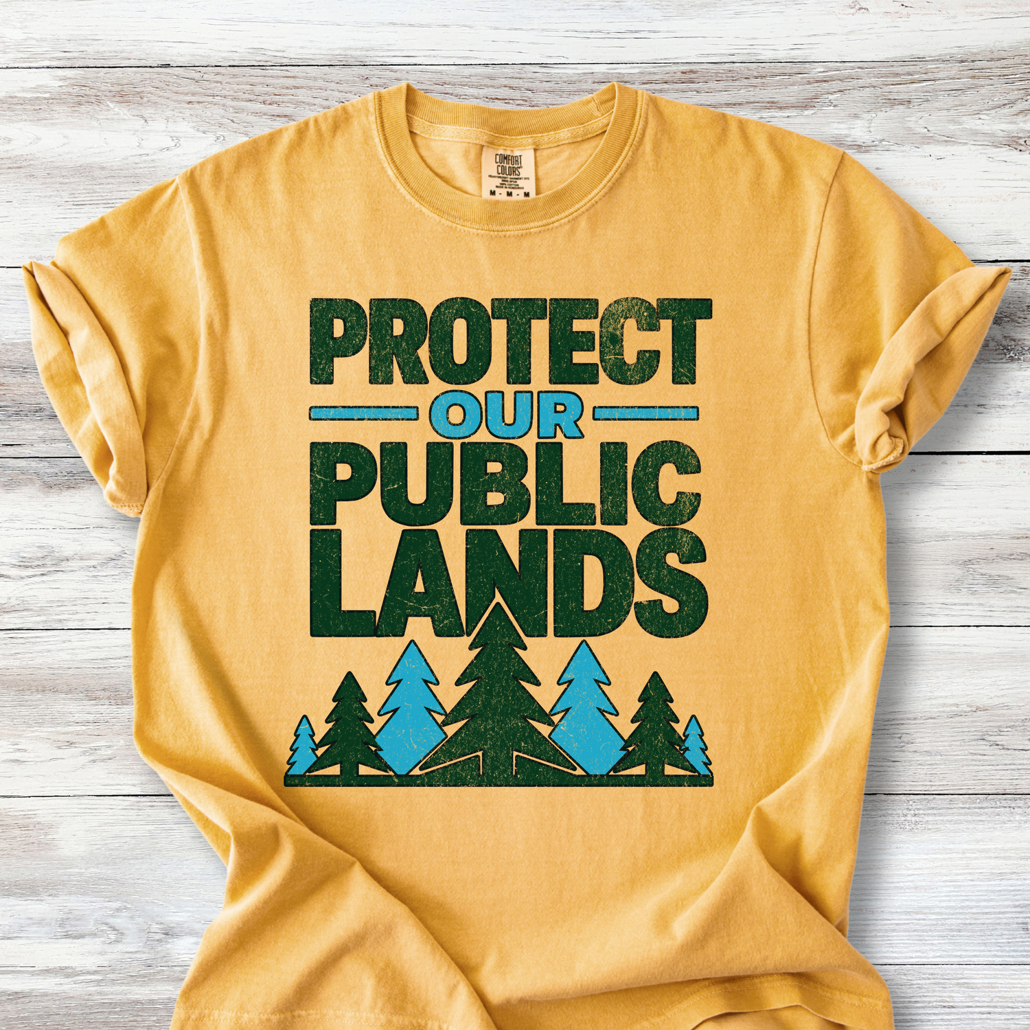 Protect Our Public Lands Tee , Vintage Conservation Shirt for Hikers &amp; Park Defenders