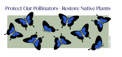 Bumper Sticker; Protect Our Pollinators - Restore Native Plants, waterproof vinyl, 7.5"x3.5"