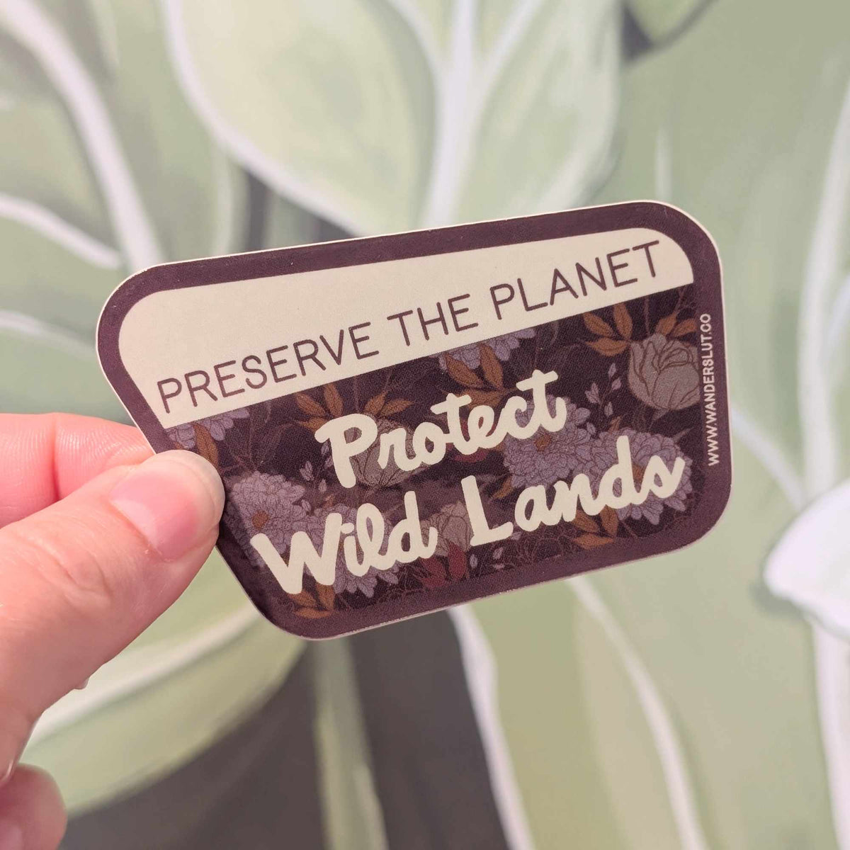 Protect Wild Lands sticker