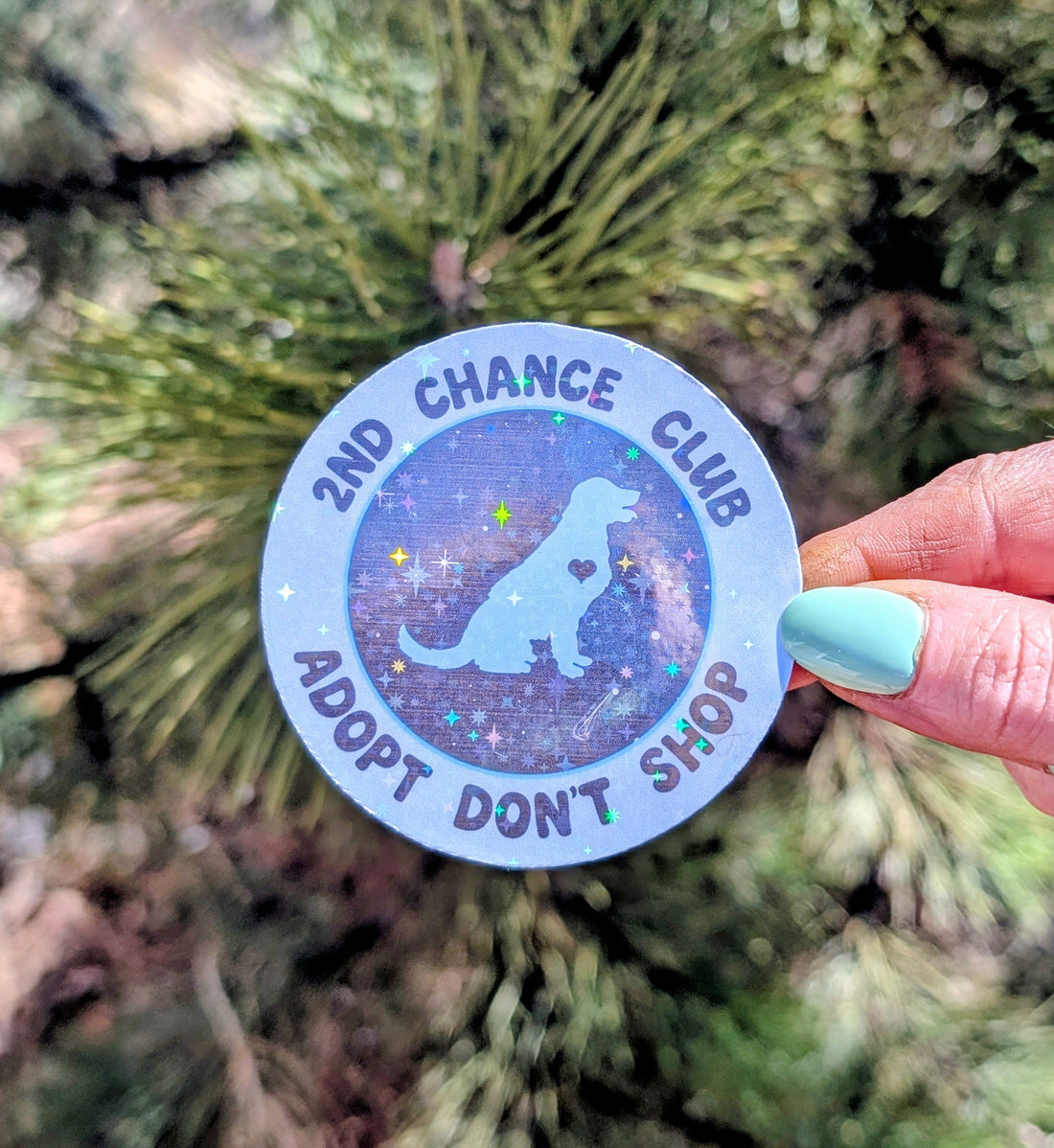 Holographic Vinyl Sticker, Adopt Don&