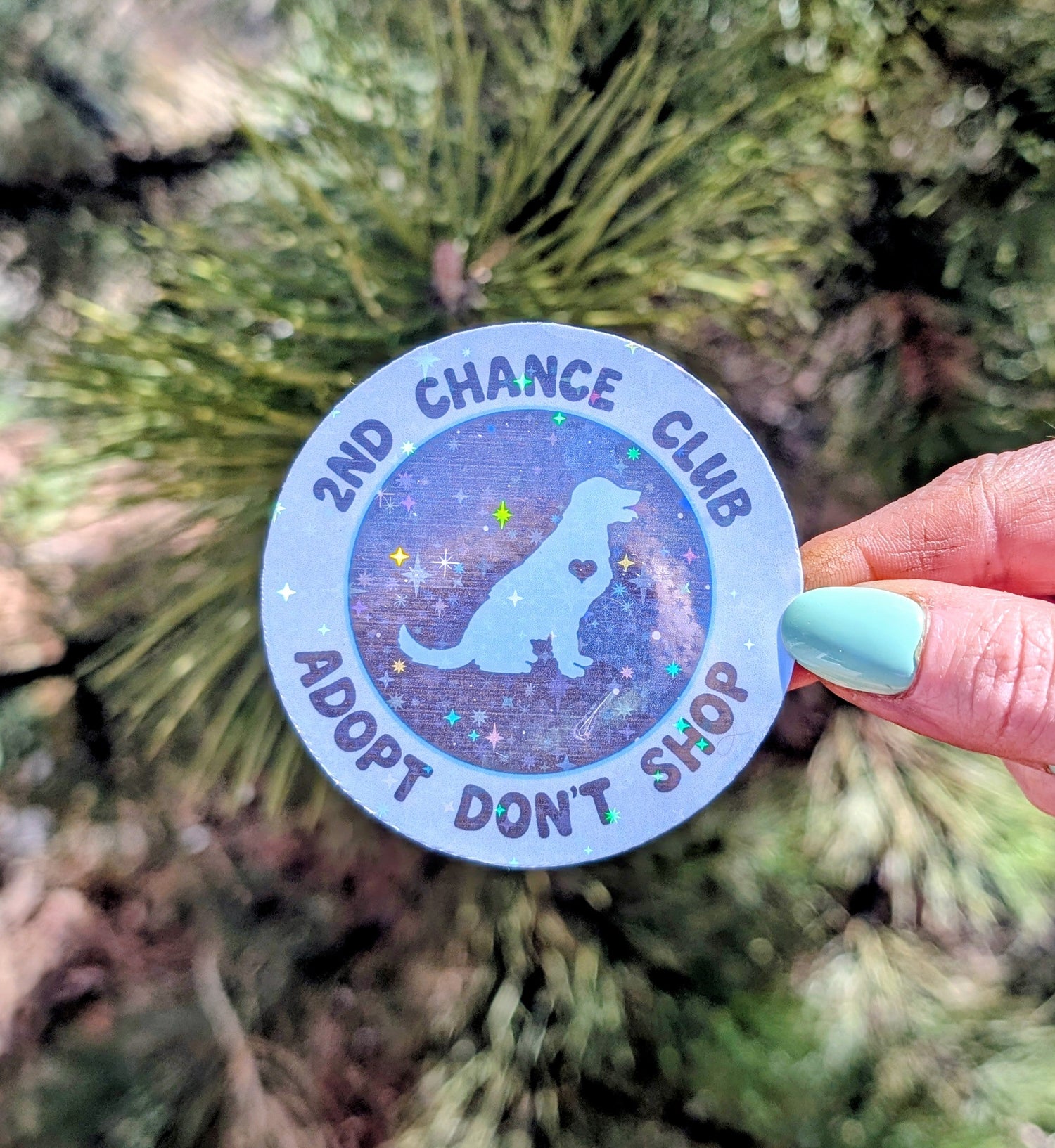 Holographic Vinyl Sticker, Adopt Don&