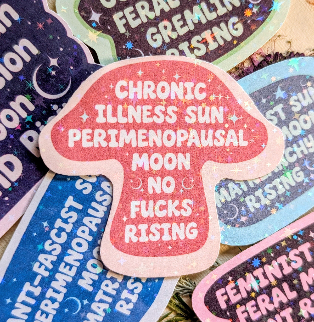 Chronic Illness Anti-fascist Inspirational Feminist Vinyl Sticker