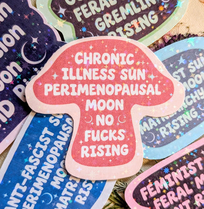 Chronic Illness Anti-fascist Inspirational Feminist Vinyl Sticker