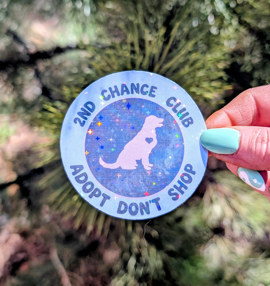 Holographic Vinyl Sticker, Adopt Don&