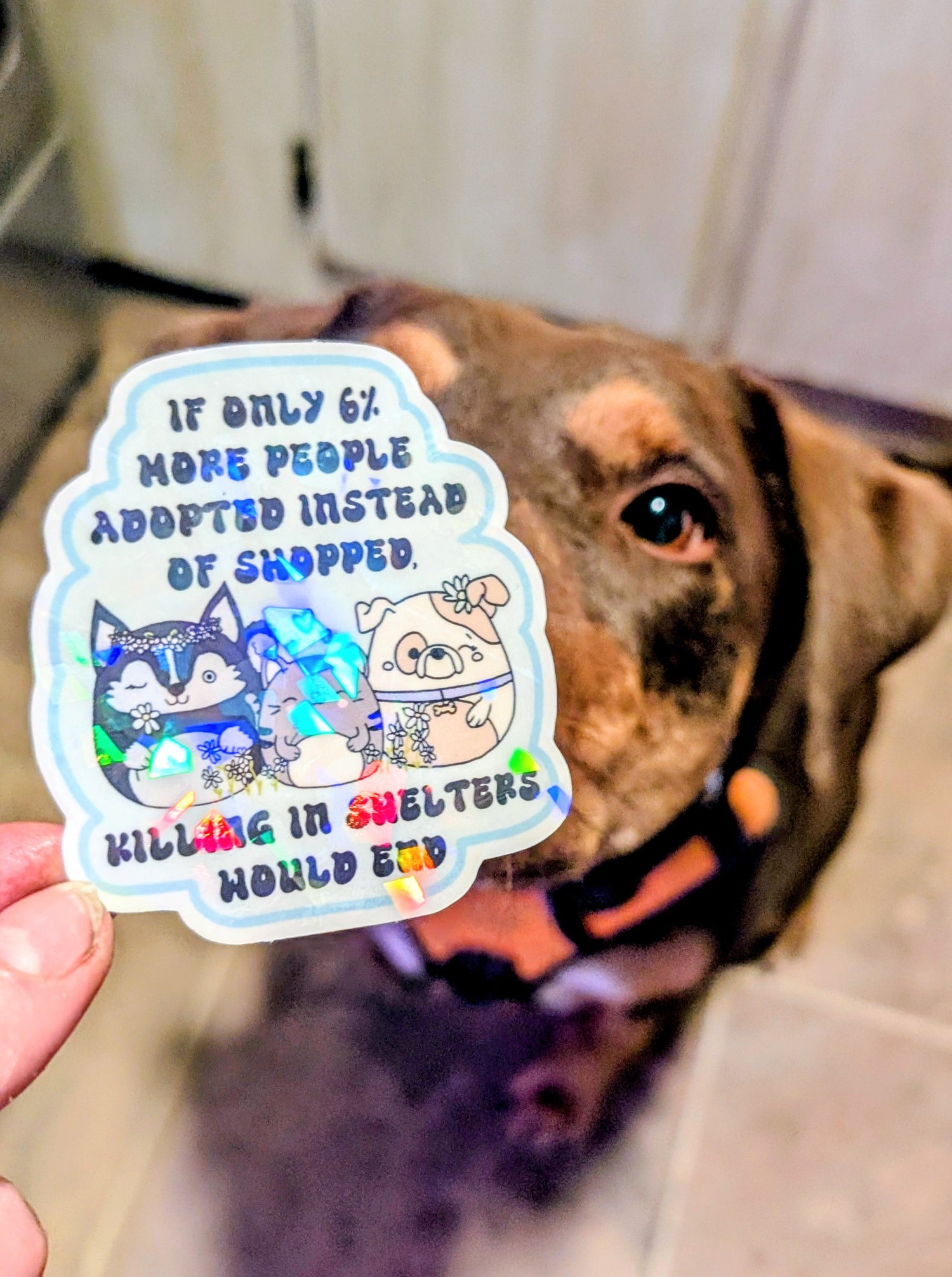 Adopt Don&
