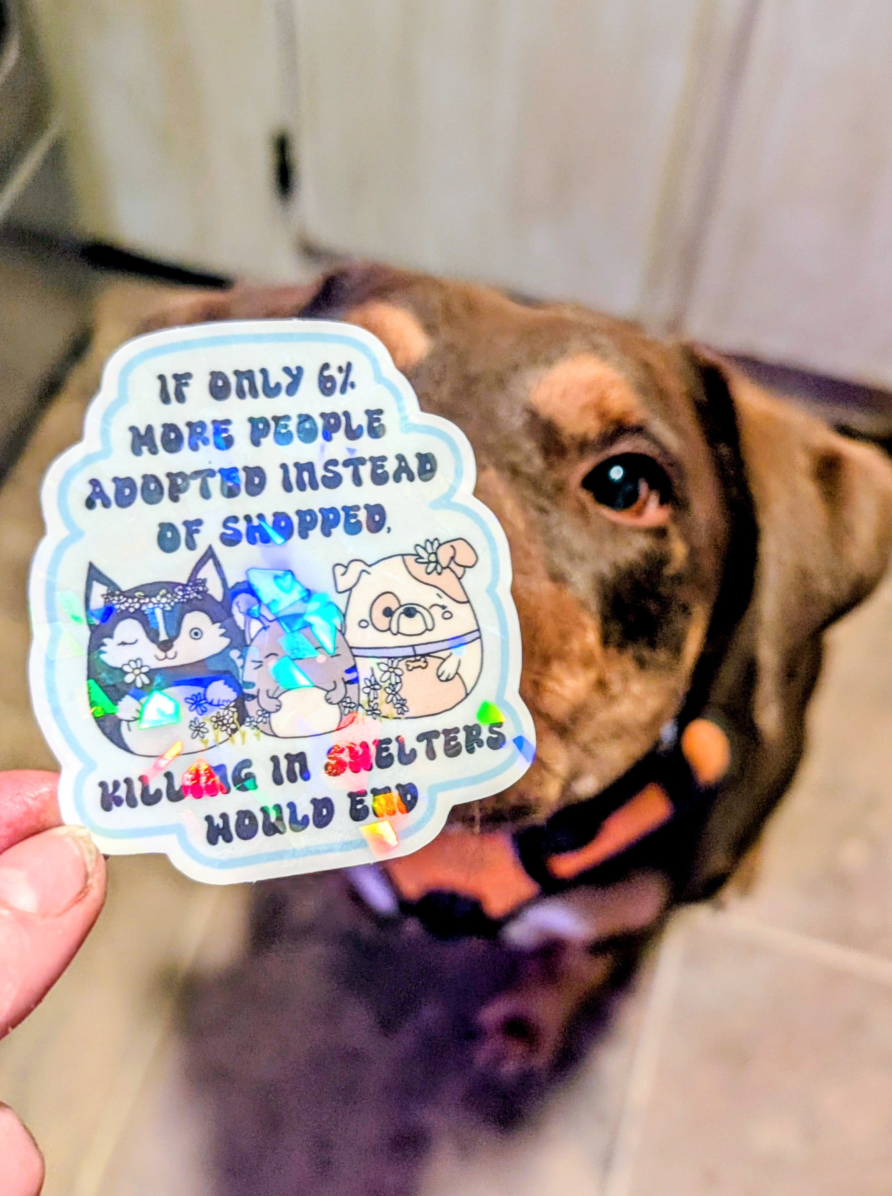 Adopt Don&