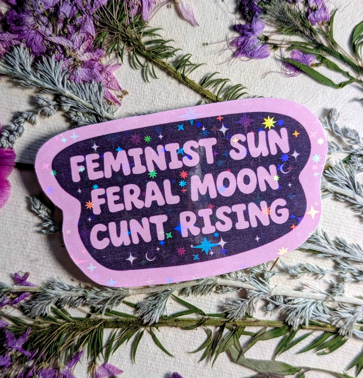 Feral Feminist Inspirational Feminist Vinyl Sticker