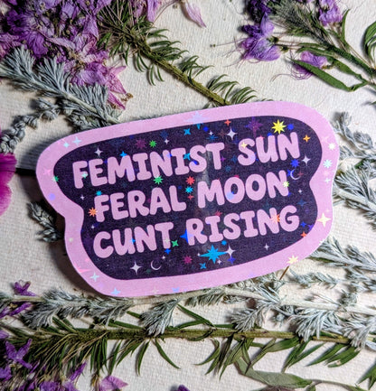 Feral Feminist Inspirational Feminist Vinyl Sticker