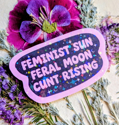 Feral Feminist Inspirational Feminist Vinyl Sticker