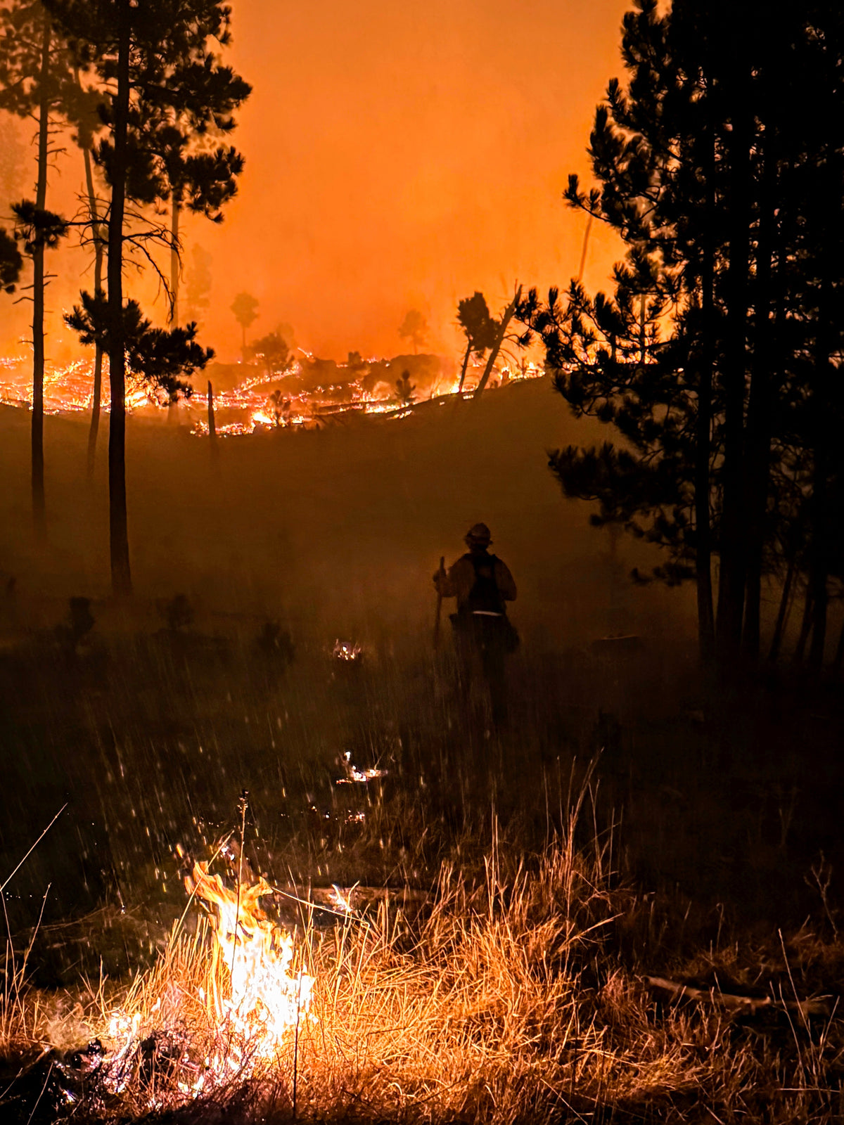 Support Wildland Firefighters, Climate Change, Protect Our Public Lands Glitter Vinyl Sticker