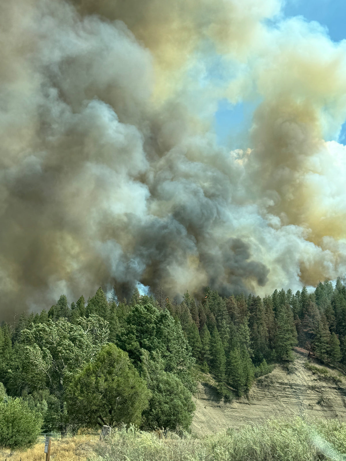 Support Wildland Firefighters, Climate Change, Protect Our Public Lands Glitter Vinyl Sticker