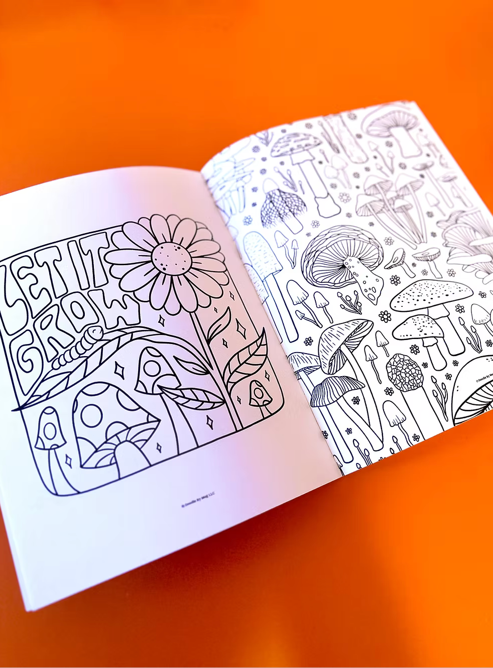 A Doodle Filled Coloring Book