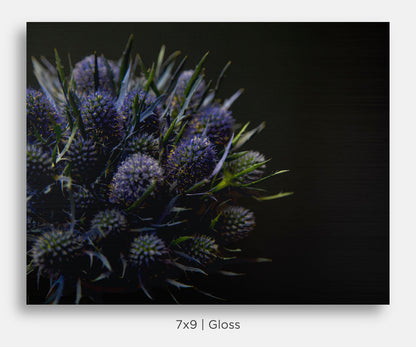 Blue Thistle Sea Holly Still Life Mini Metal Print Wall Art