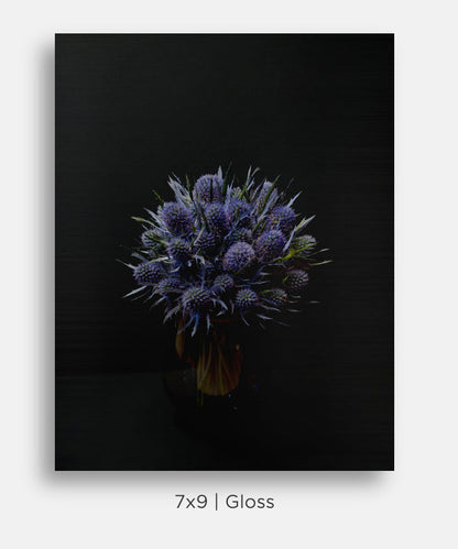 Blue Thistle Sea Holly Still Life Mini Metal Print Wall Art