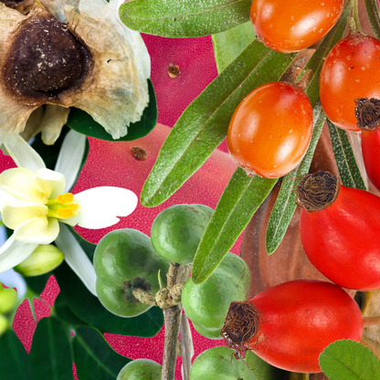 SEED+FRUIT Face Oil for Renewal