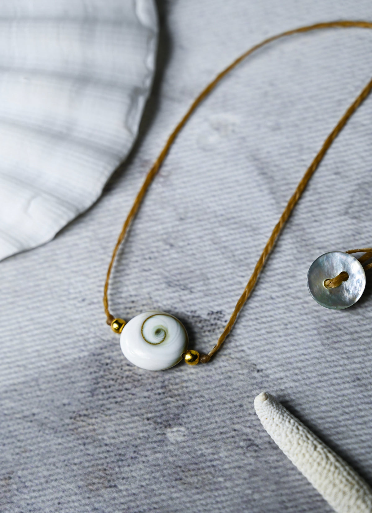 Rare Shiva Eye Shell and Gold Choker Necklace for Women, Handmade Jewelry, Boho Choker, Summer Jewelry, Beach Choker