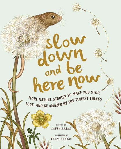 Slow Down and Be Here Now book front cover, illustrated by Freya Hartas, written by Laura Brand