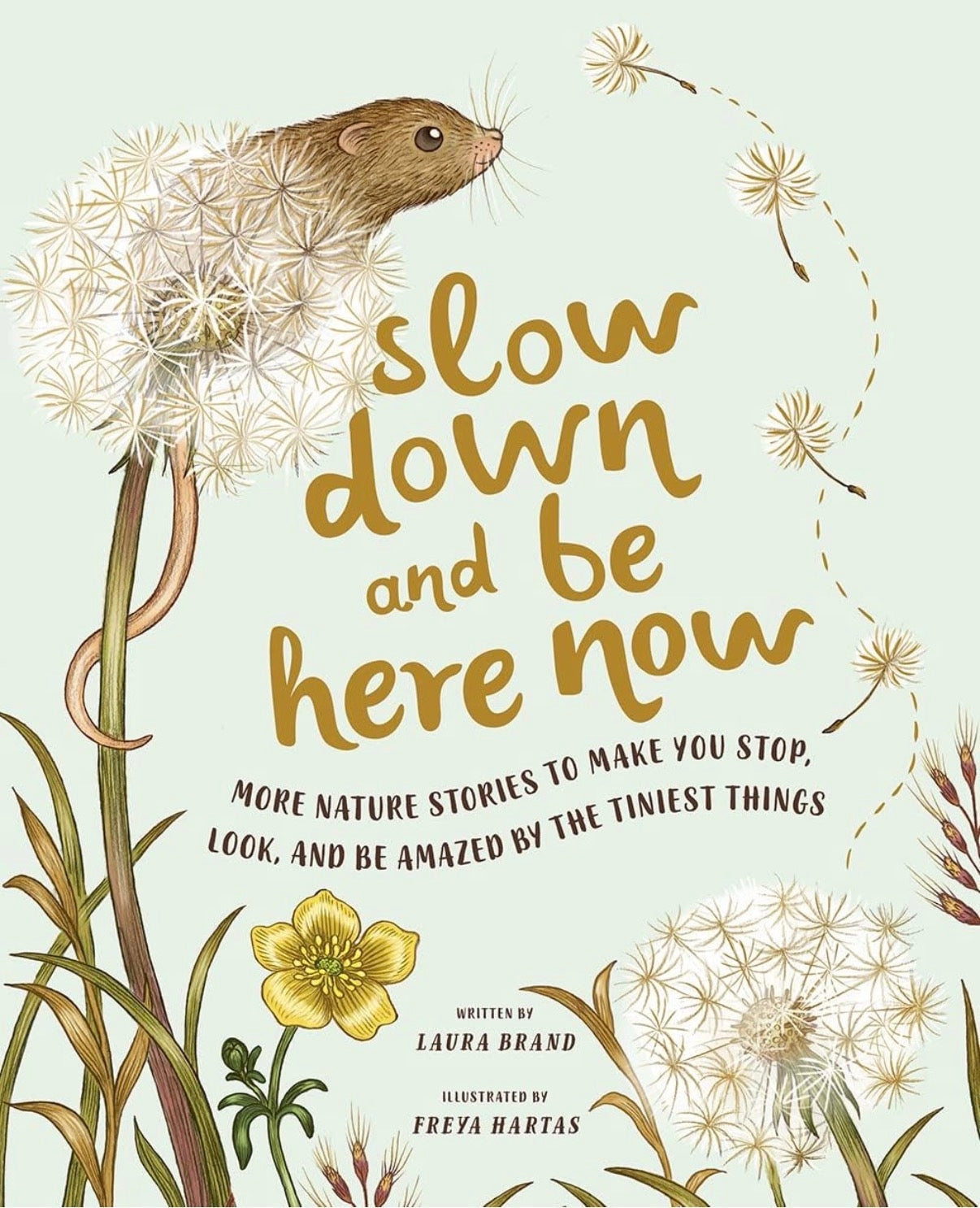 Slow Down and Be Here Now book front cover, illustrated by Freya Hartas, written by Laura Brand