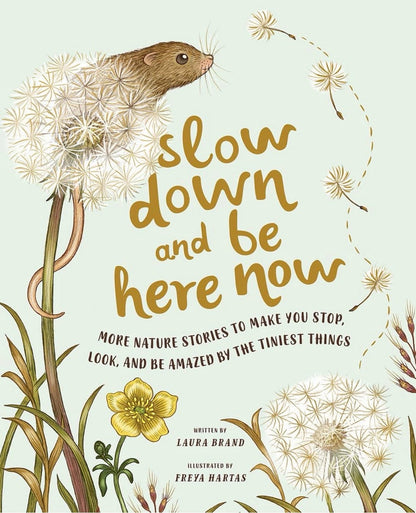 Slow Down and Be Here Now book front cover, illustrated by Freya Hartas, written by Laura Brand