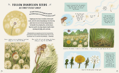 Slow Down and Be Here Now interior spread showing dandelion seeds illustration