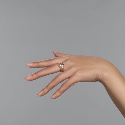 Gold Miso Signet