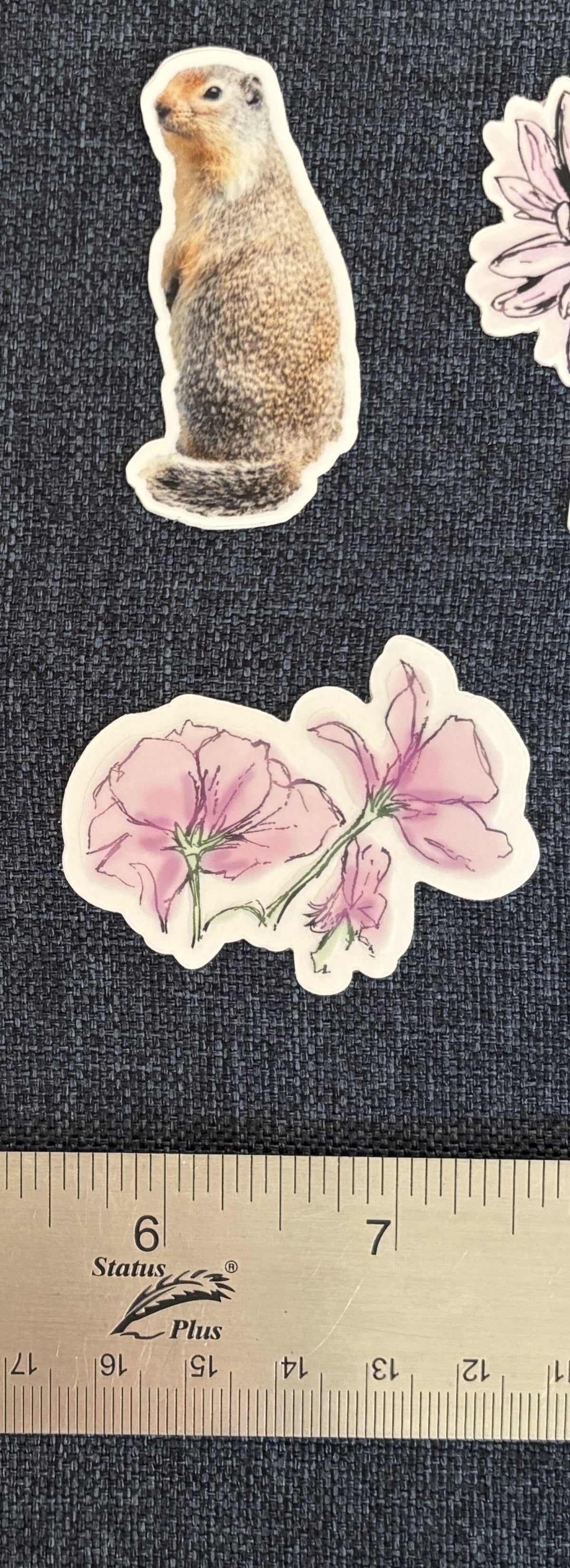 Various Stickers of Nature and Catch Phrases