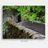 Ivy-Covered Stone Bridge, Perthshire Highlands, landscape of a stone bridge covered in moss in the Highlands of Scotland.