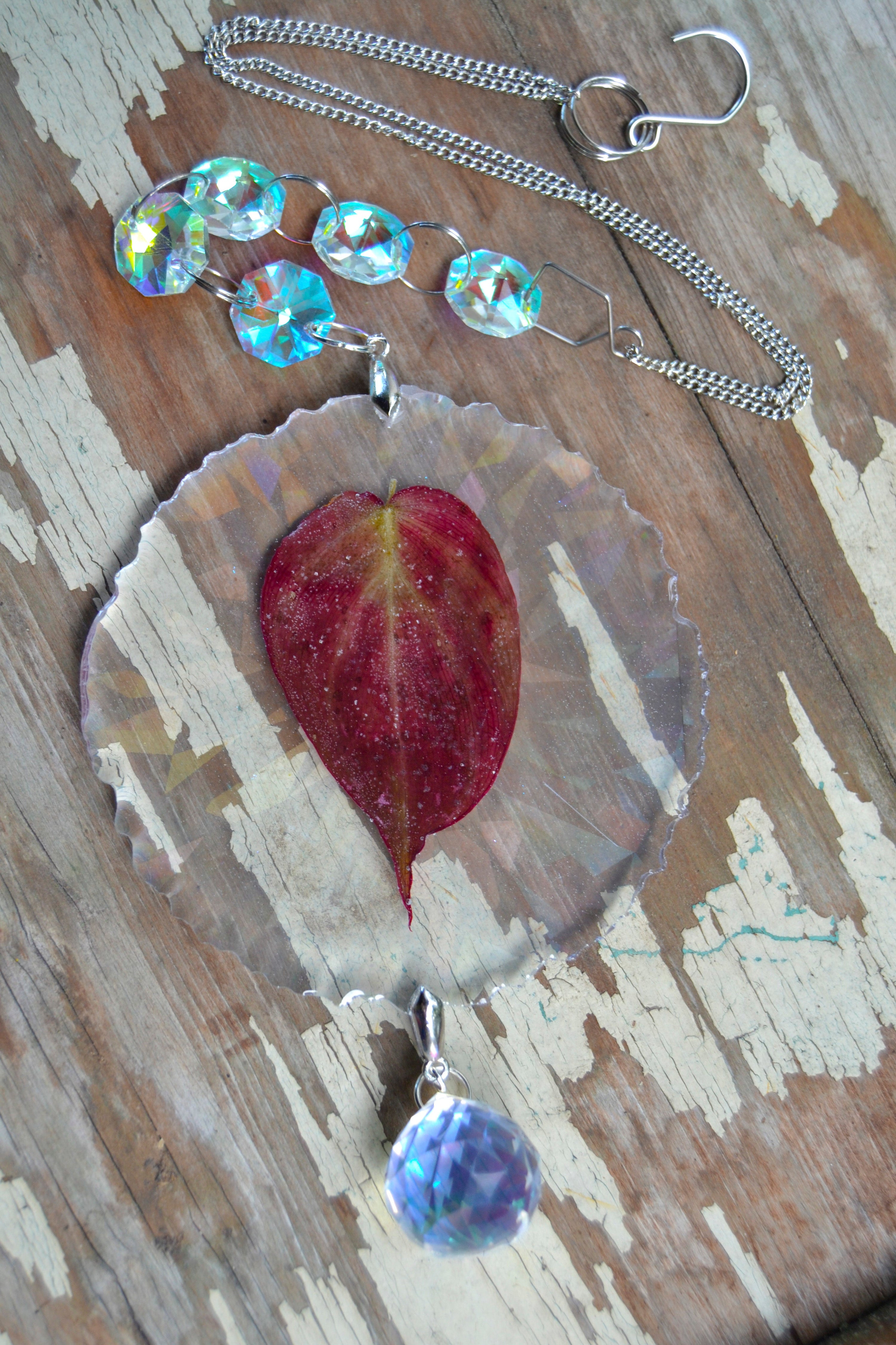 Leaf Suncatcher - Holo P. Micans