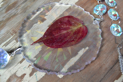 Leaf Suncatcher - Holo P. Micans