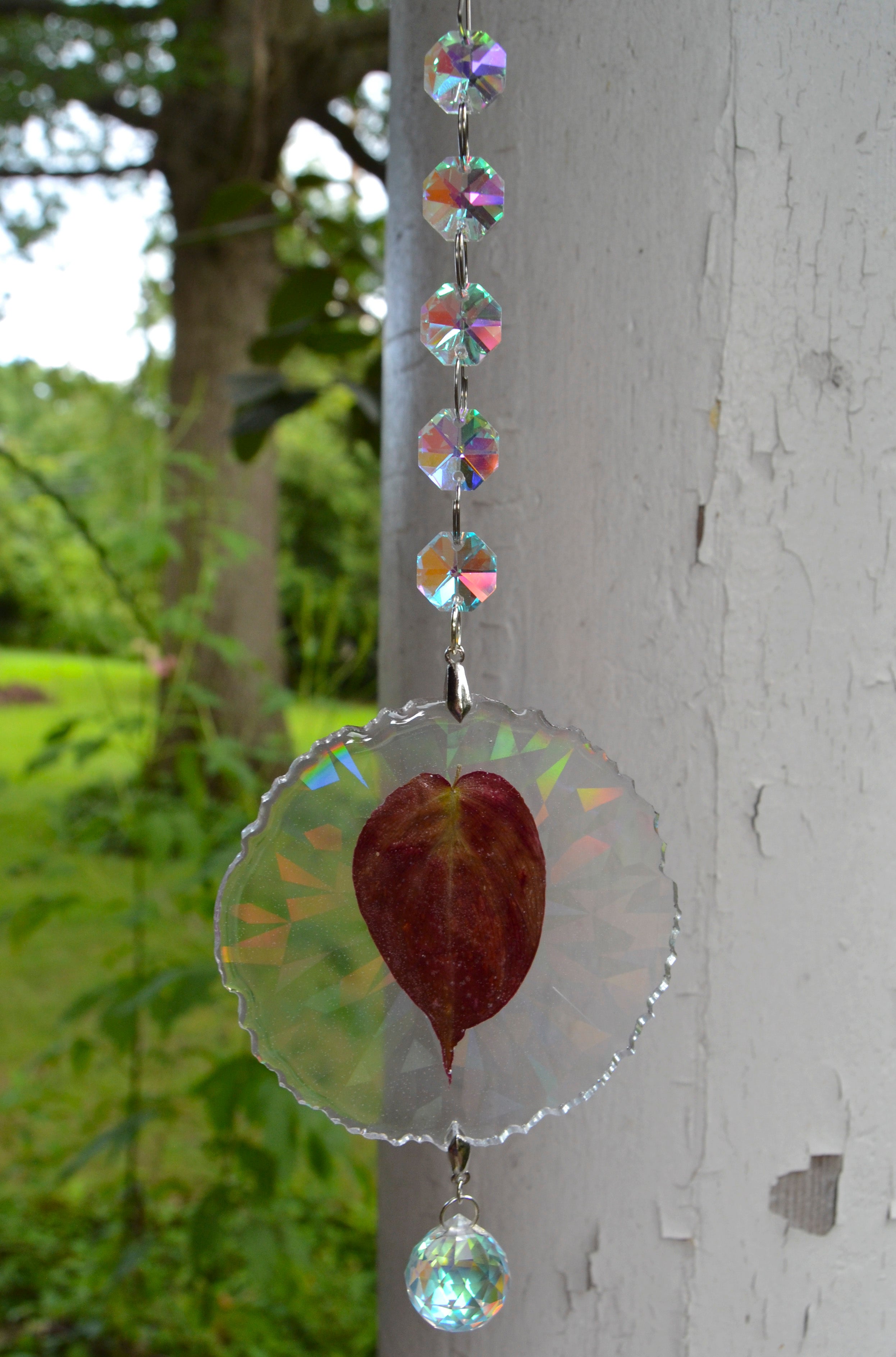 Leaf Suncatcher - Holo P. Micans