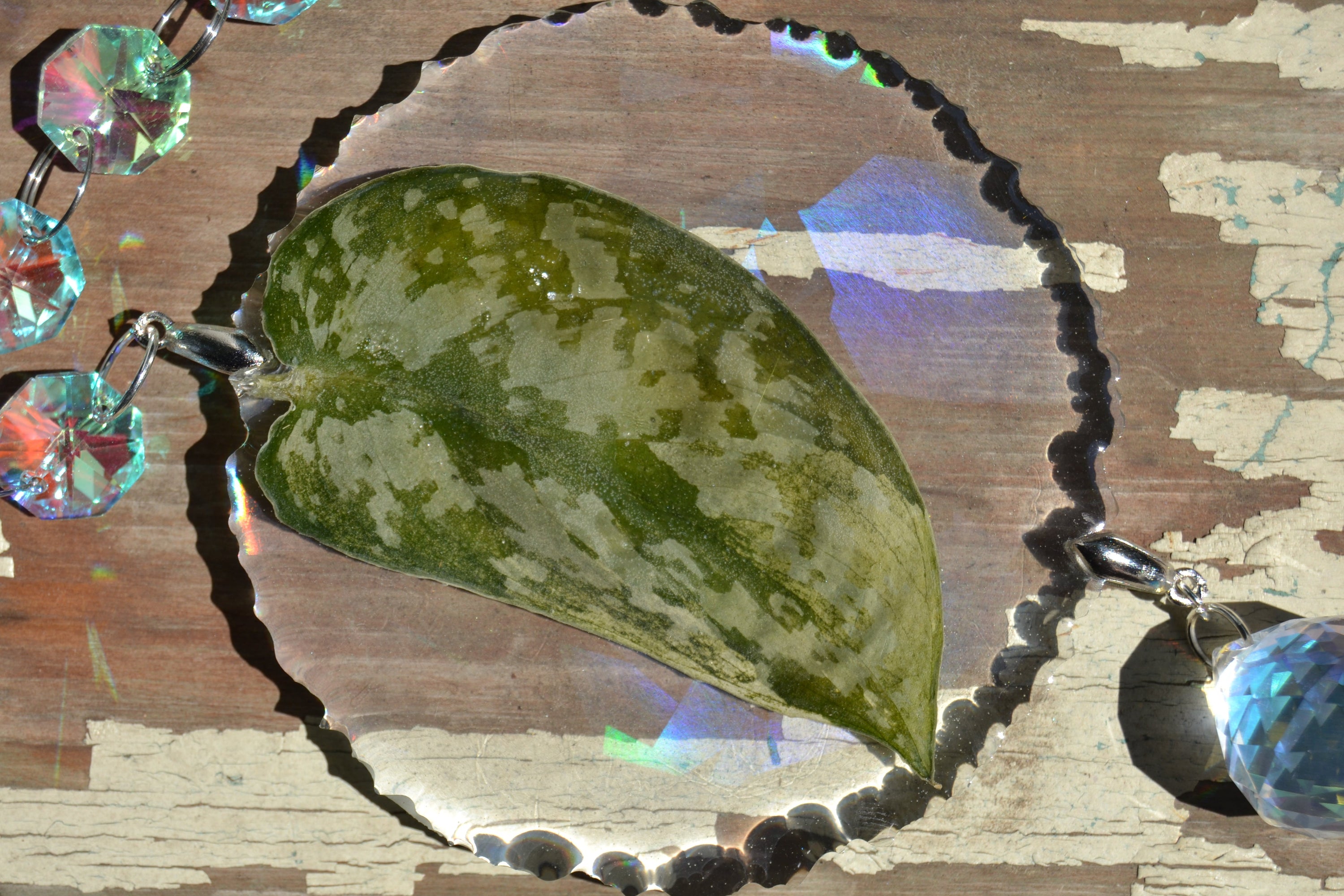 Leaf Suncatcher - Holo S. Black Dragon