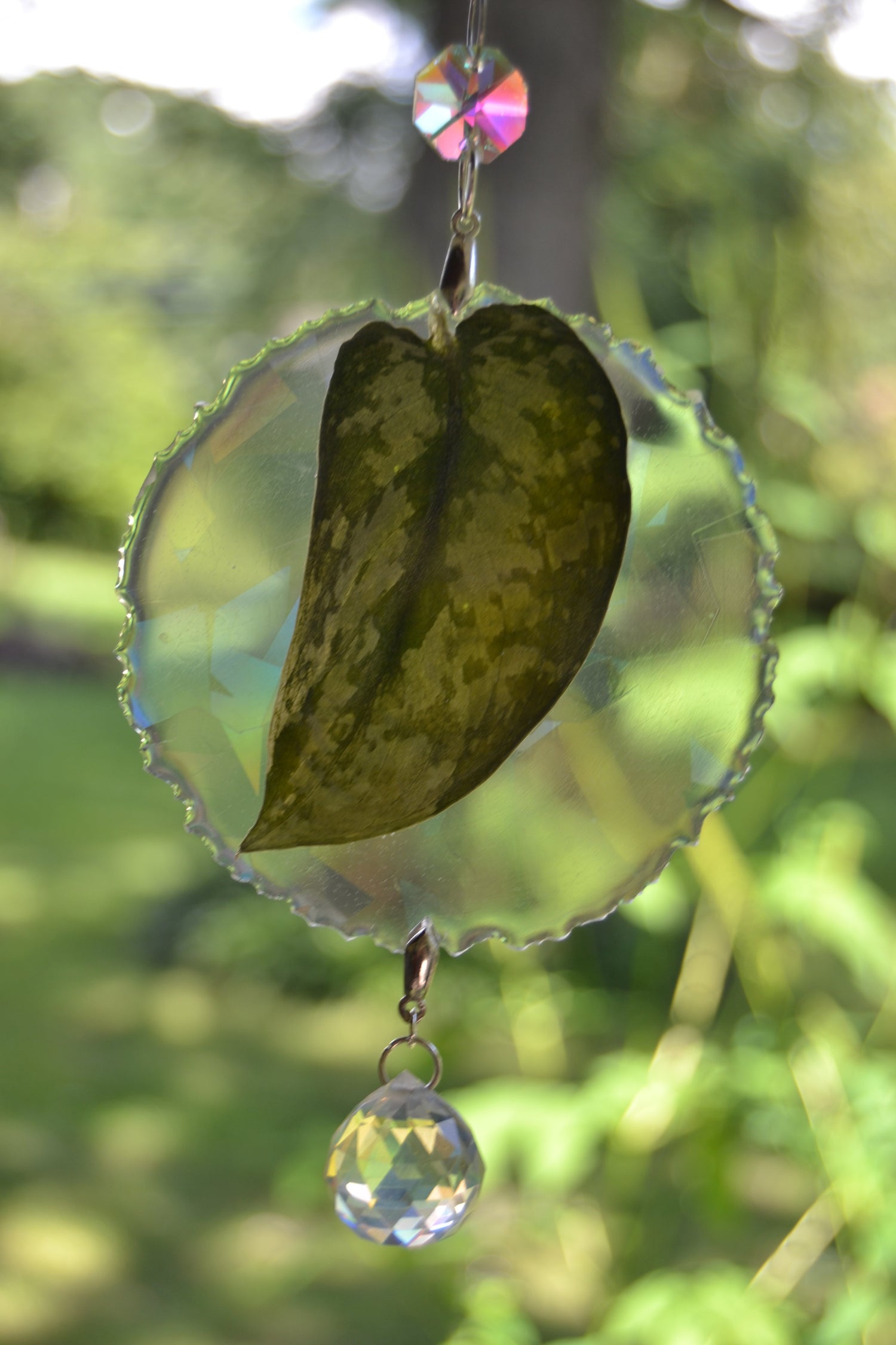 Leaf Suncatcher - Holo S. Black Dragon