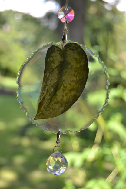 Leaf Suncatcher - Holo S. Black Dragon