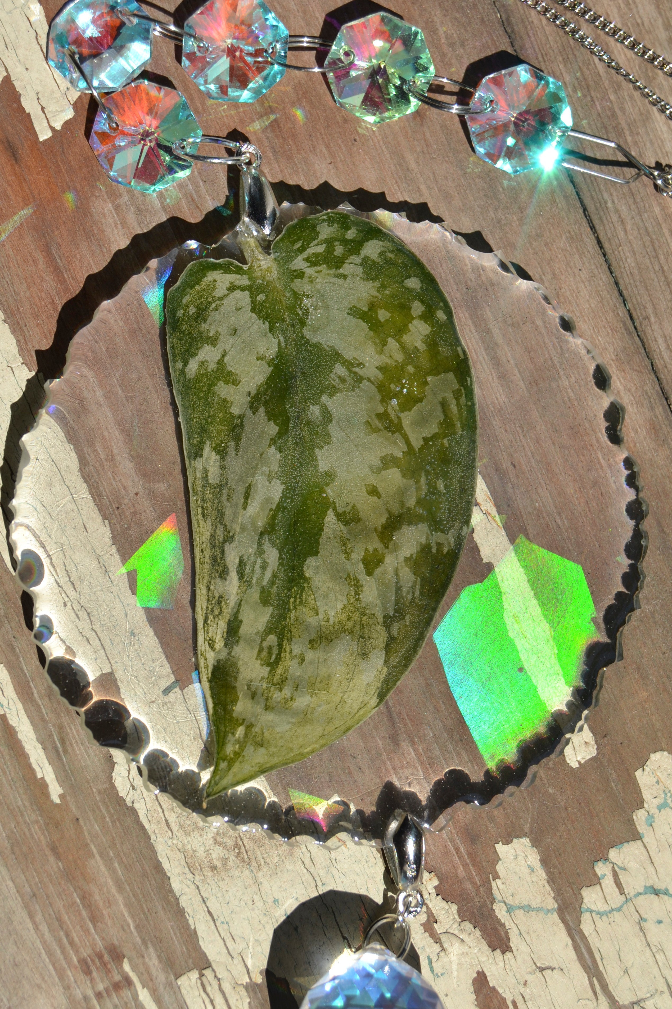 Leaf Suncatcher - Holo S. Black Dragon