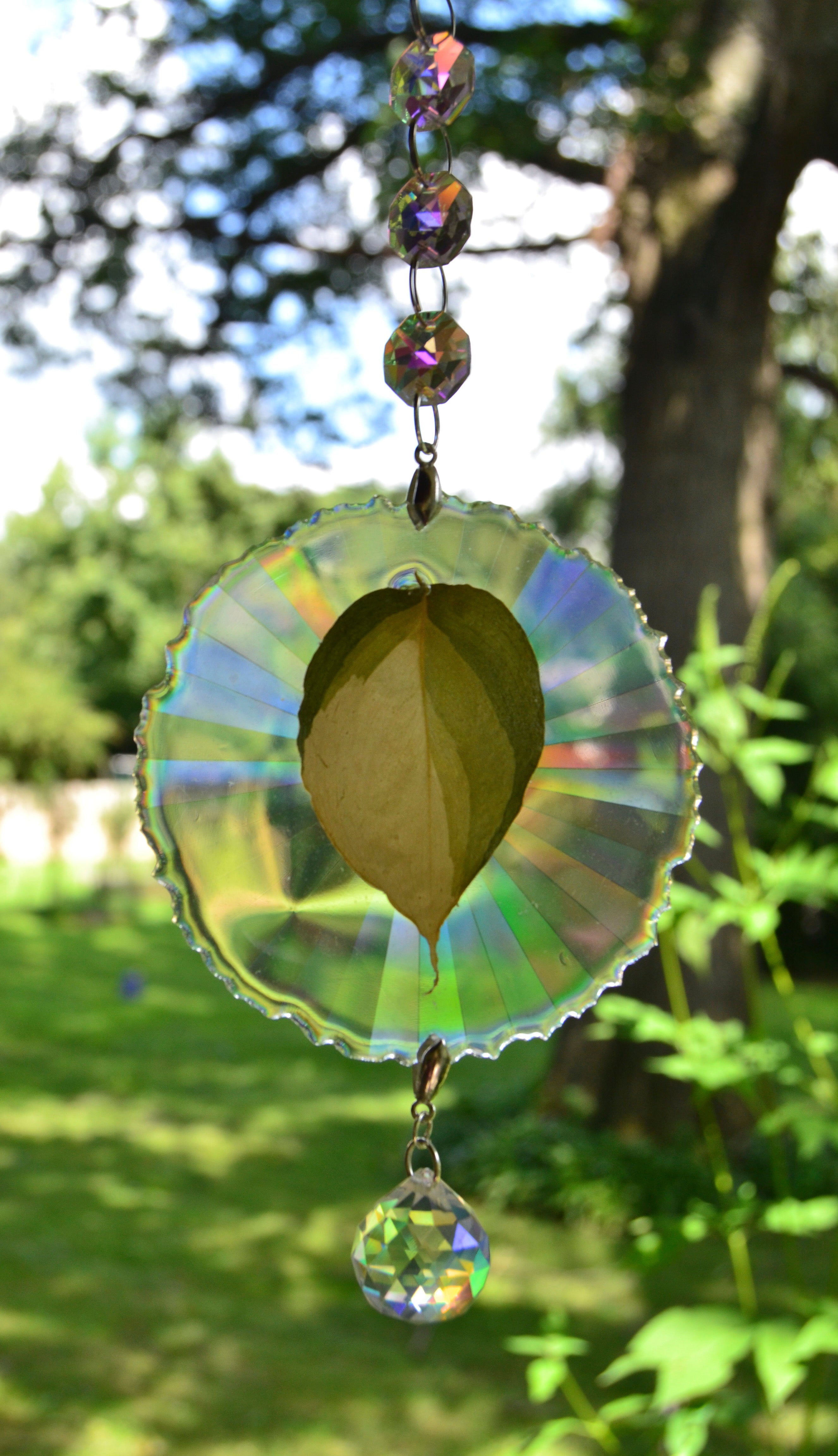 Leaf Suncatcher - Holo S. Blue Albo