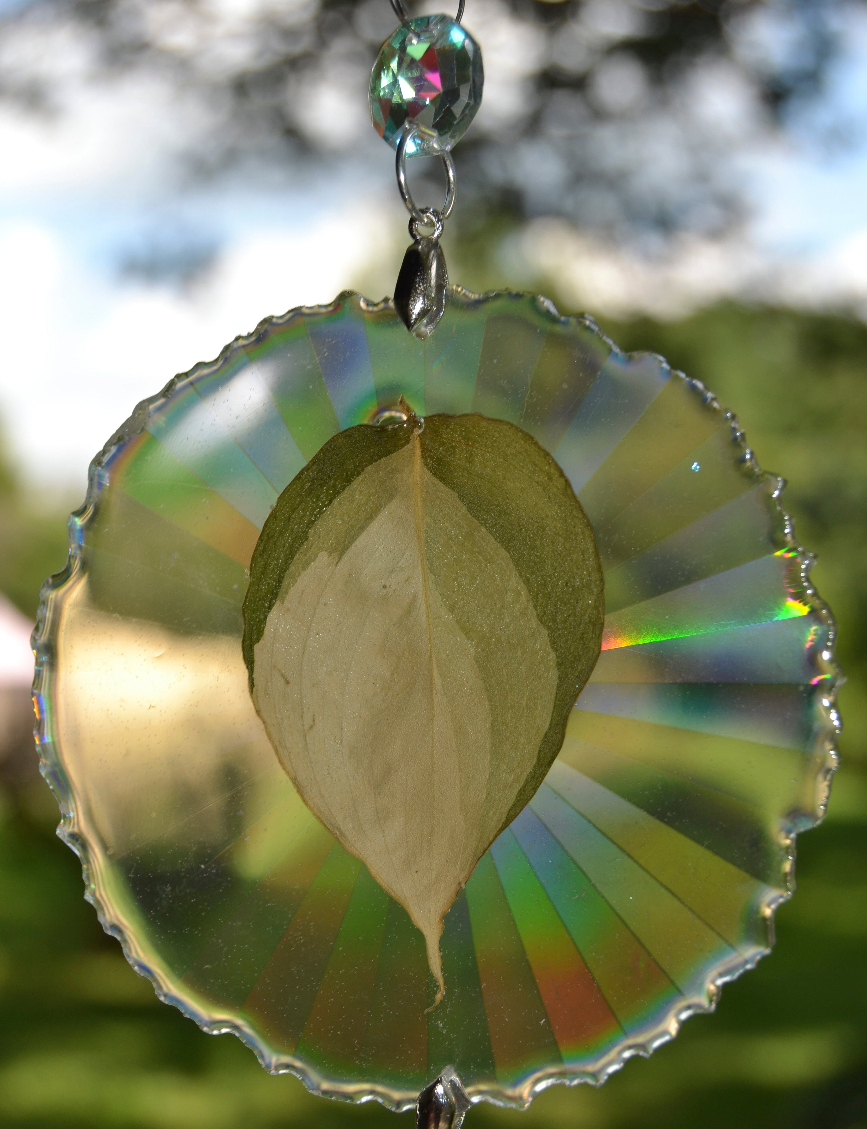 Leaf Suncatcher - Holo S. Blue Albo