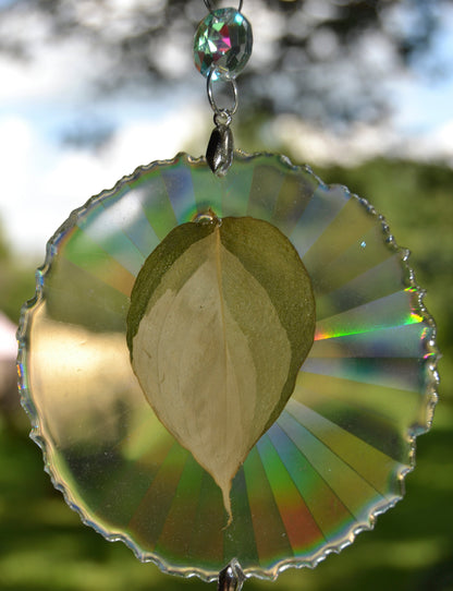 Leaf Suncatcher - Holo S. Blue Albo