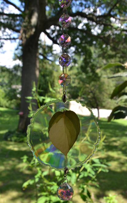 Leaf Suncatcher - Holo S. Blue Albo