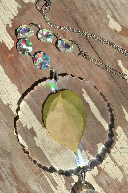 Leaf Suncatcher - Holo S. Blue Albo