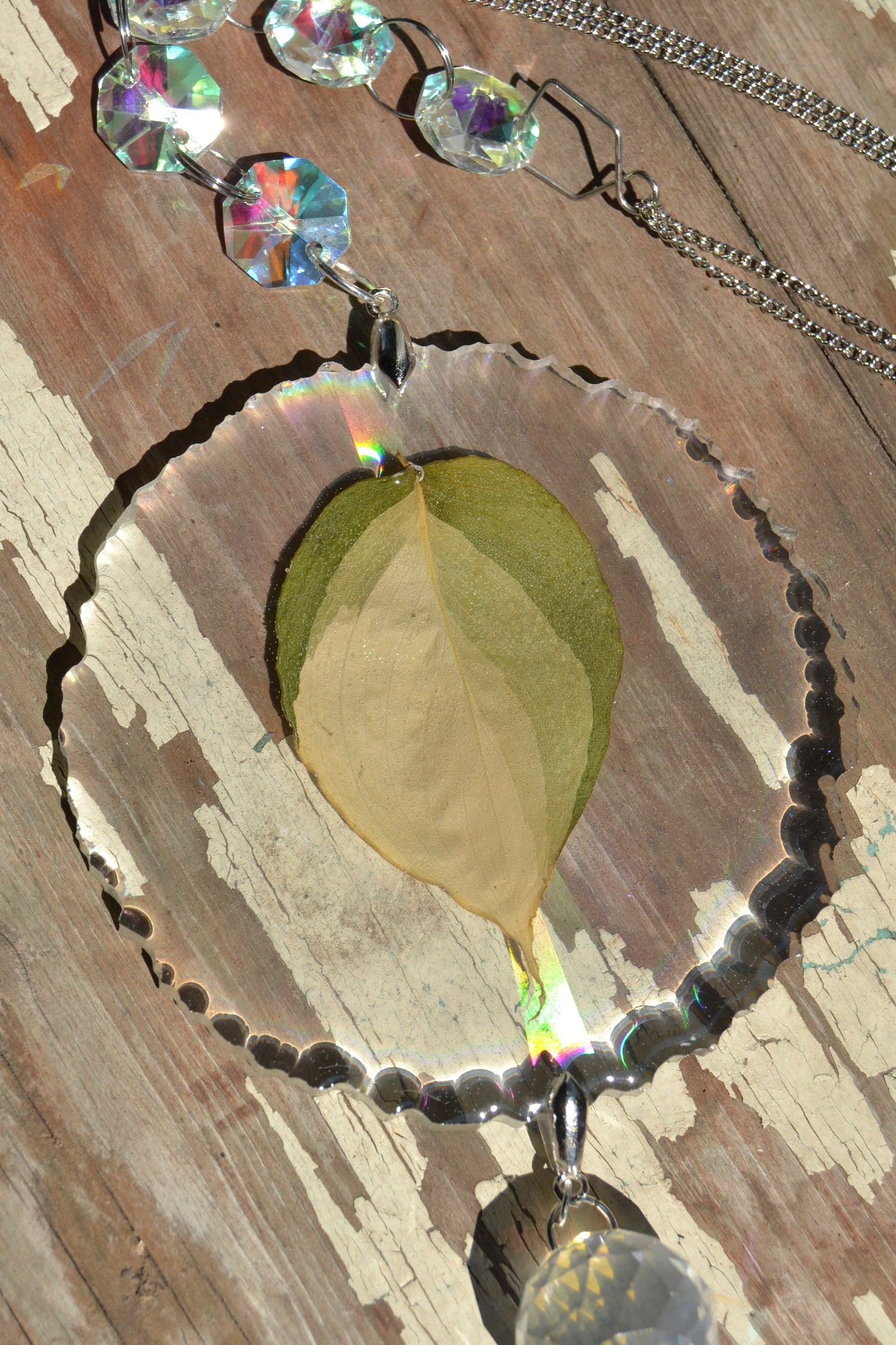 Leaf Suncatcher - Holo S. Blue Albo