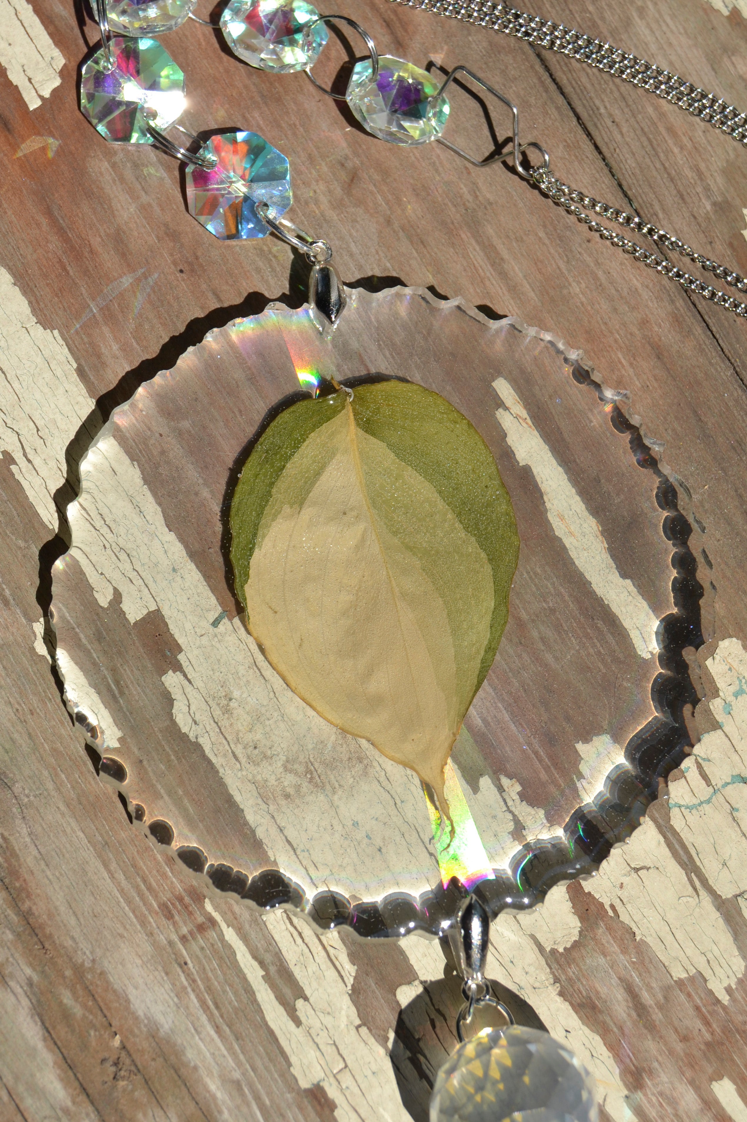 Leaf Suncatcher - Holo S. Blue Albo