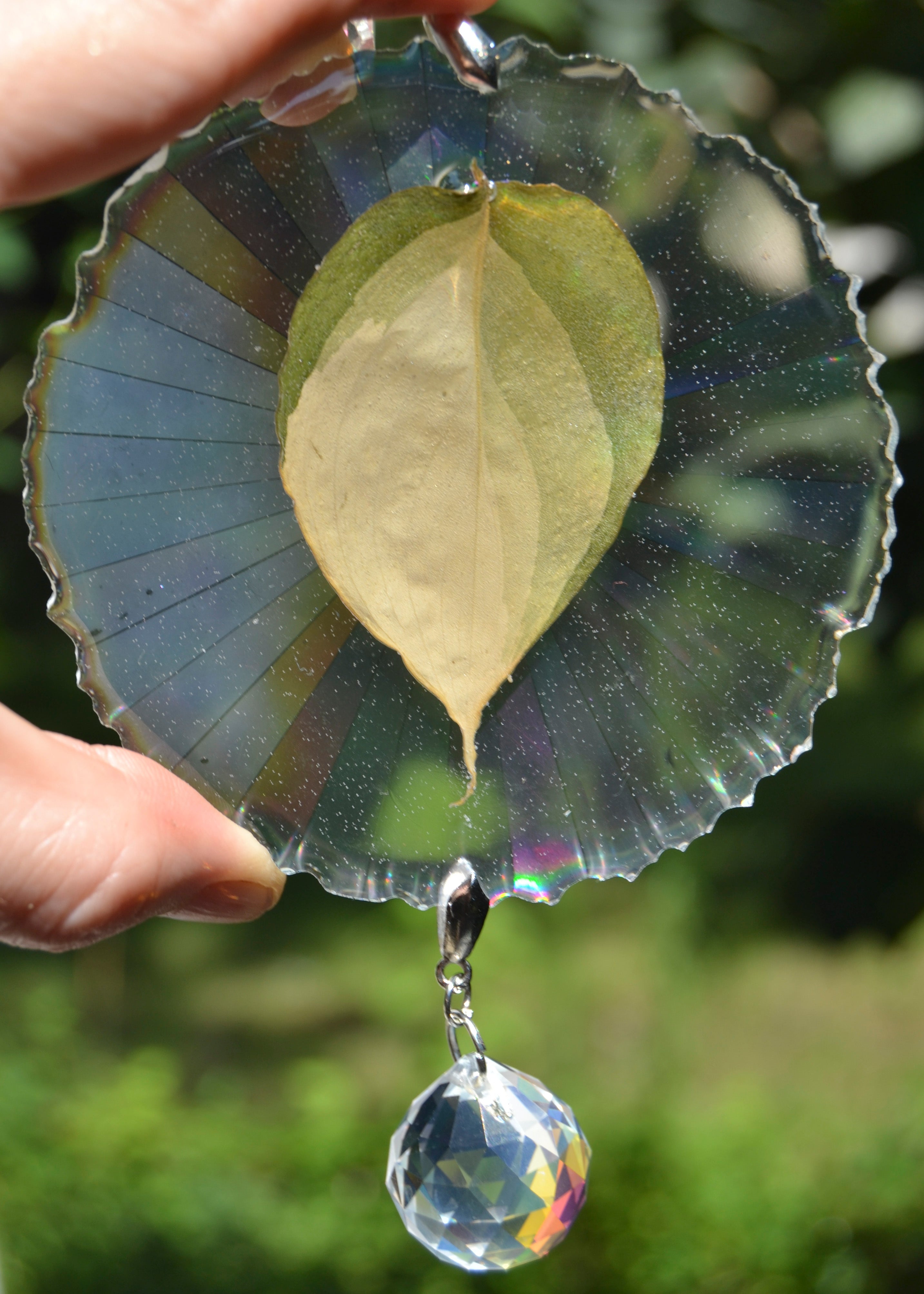 Leaf Suncatcher - Holo S. Blue Albo