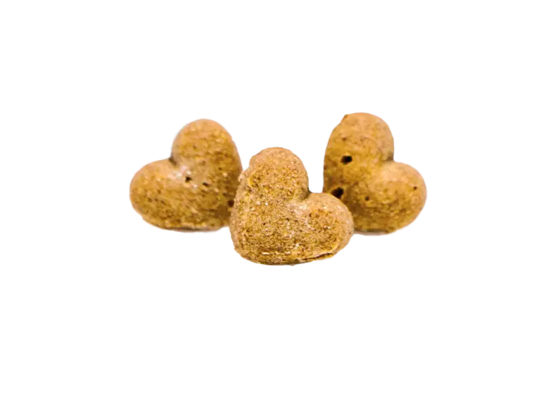 Sweet Potato Dog Treats - Healthy and Delicious Canine Snack - 4Legz