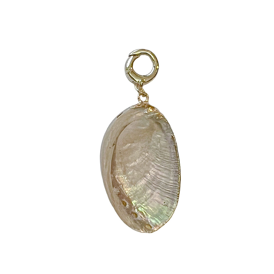 charleston large shell with gold