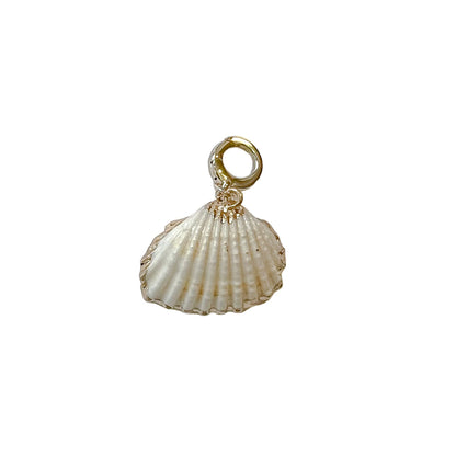 charleston medium white gold edge shell