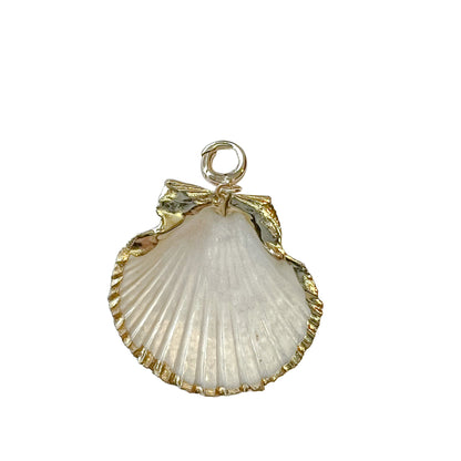 charleston scallop gold edge shell