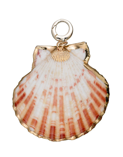 charleston scallop gold edge shell