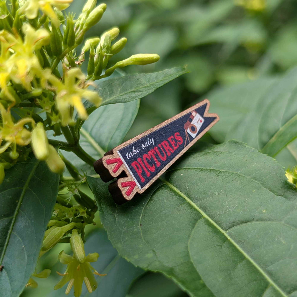 Take Only Pictures wooden pin (black version)