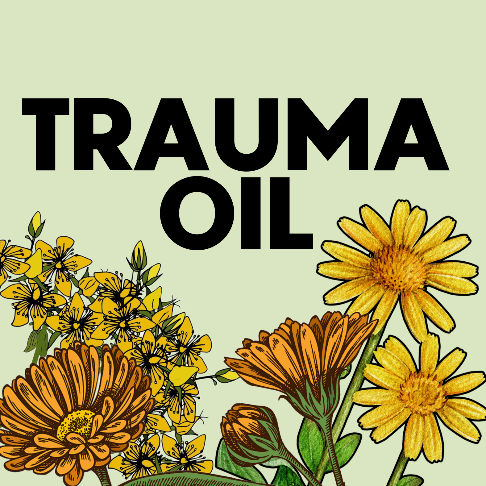 TRAUMA OIL Infused Herbal Oil